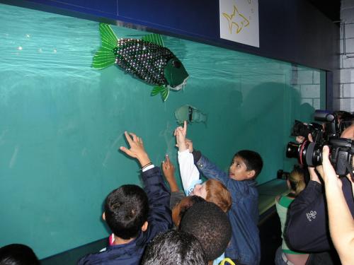 Рыба-робот не попадется на крючок