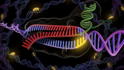 Японские изобретения, которые изменили мир