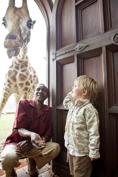 Необычный отель посреди пастбища жирафов