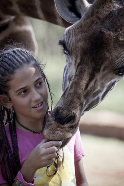 Необычный отель посреди пастбища жирафов