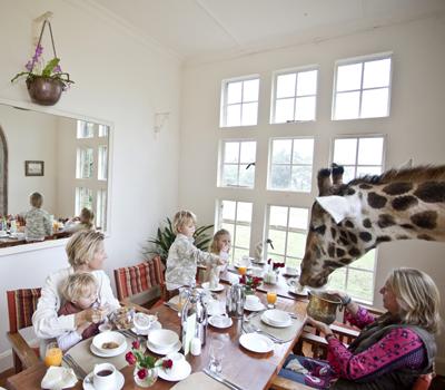 Необычный отель посреди пастбища жирафов