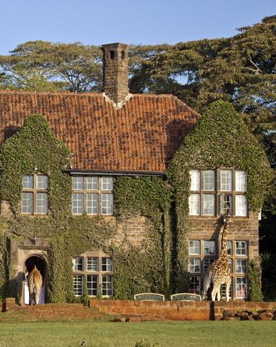 Необычный отель посреди пастбища жирафов