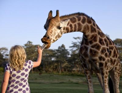 Необычный отель посреди пастбища жирафов