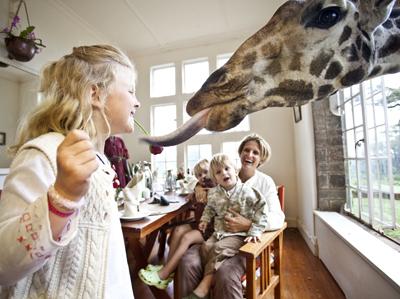 Необычный отель посреди пастбища жирафов