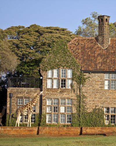 Необычный отель посреди пастбища жирафов