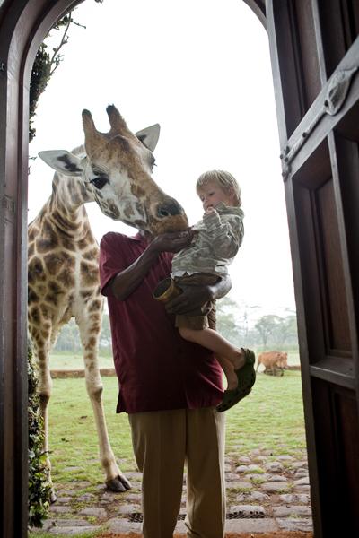 Необычный отель посреди пастбища жирафов