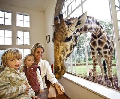 Необычный отель посреди пастбища жирафов