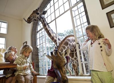 Необычный отель посреди пастбища жирафов