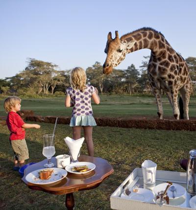 Необычный отель посреди пастбища жирафов