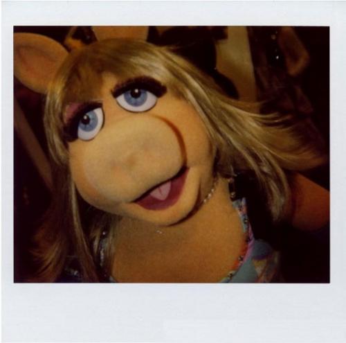 Знаменитости на полароидных снимках