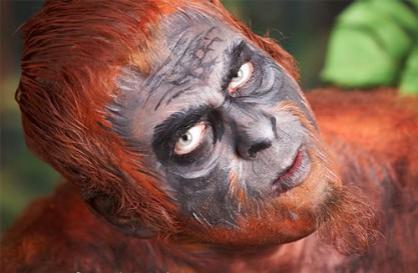 Звезды потеряли человеческий облик