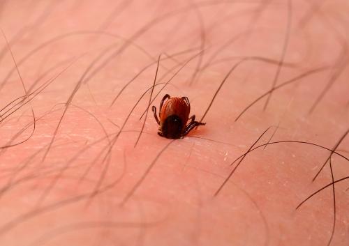 Лучшие научные кадры года