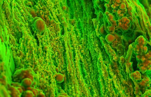 Лучшие научные кадры года