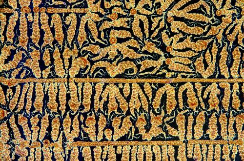 Лучшие научные кадры года