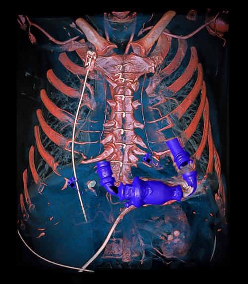 Лучшие научные кадры года