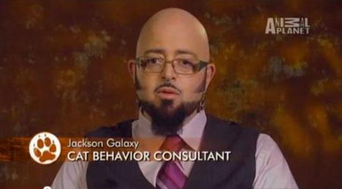 Самые дурацкие названия профессий и должностей, засвеченные в телеэфире