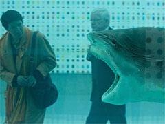 Лучшие фотографии Reuters за 2007 год