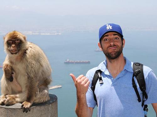 Звезды Голливуда общаются с обезьянами