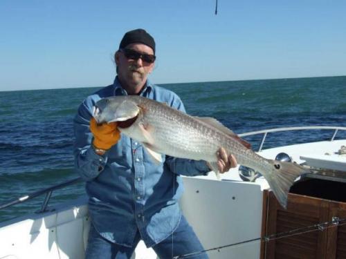 12 людей, переживших настоящий кошмар и сумевших выжить