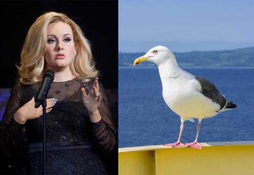 Самые большие страхи и фобии знаменитых людей