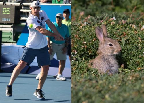 Самые большие страхи и фобии знаменитых людей