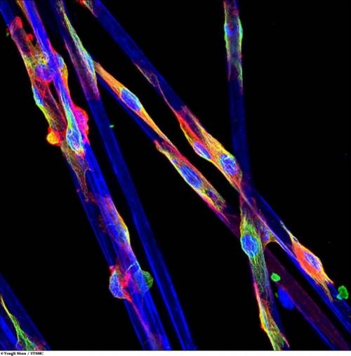 Учёные разглядели микромир через Nikon