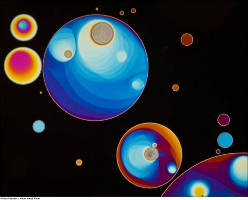 Учёные разглядели микромир через Nikon