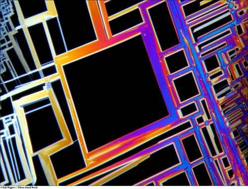 Учёные разглядели микромир через Nikon