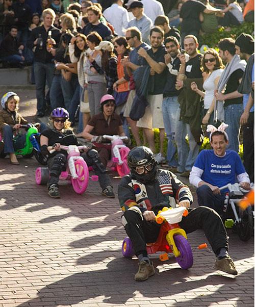 Дураки облюбовали самую короткую улицу