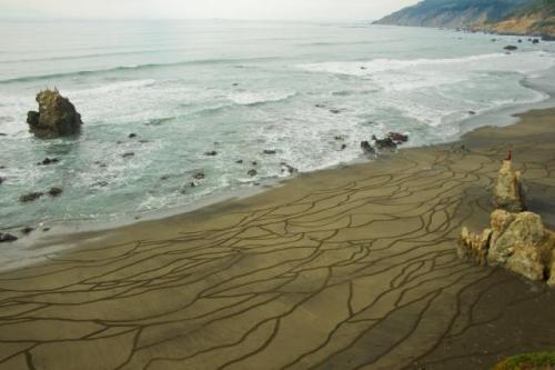 Американец создаёт инопланетные картины на песке