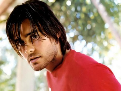 Звезды, родившиеся в Новый год