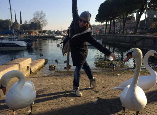 Новый год-2017: как звезды проводят новогодние каникулы