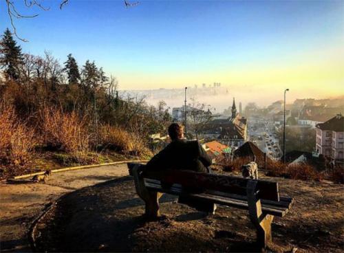 Новый год-2017: как звезды проводят новогодние каникулы