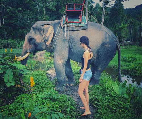 Новый год-2017: как звезды проводят новогодние каникулы