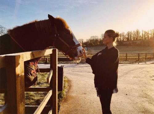 Новый год-2017: как звезды проводят новогодние каникулы