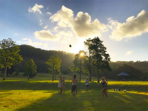 Новый год-2017: как звезды проводят новогодние каникулы