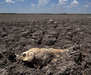10 самых ужасных засух в истории