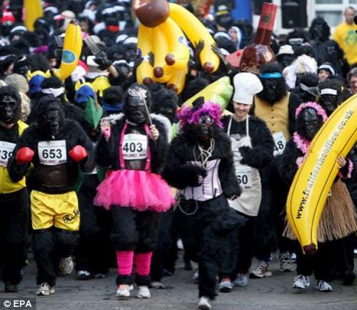 За 100 фунтов в Лондоне можно было стать гориллой