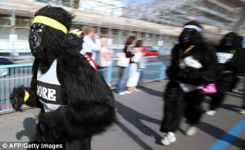 За 100 фунтов в Лондоне можно было стать гориллой