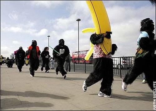 За 100 фунтов в Лондоне можно было стать гориллой