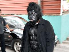 За 100 фунтов в Лондоне можно было стать гориллой