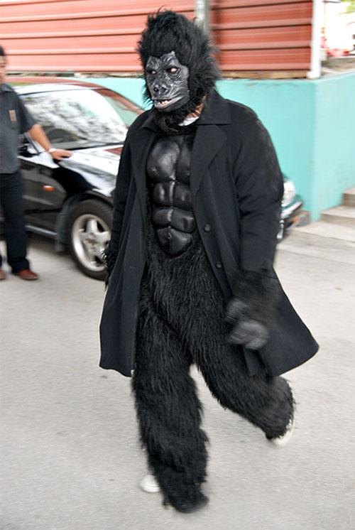 За 100 фунтов в Лондоне можно было стать гориллой