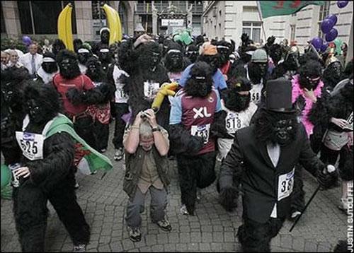 За 100 фунтов в Лондоне можно было стать гориллой