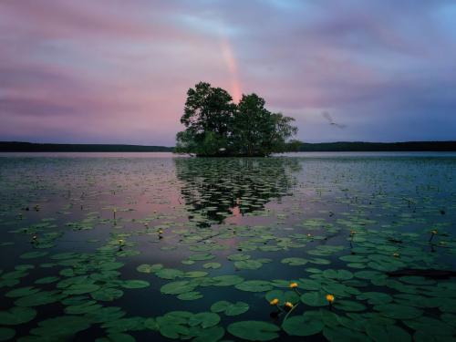 Лучшие снимки с конкурса фотографий, сделанных на iPhone