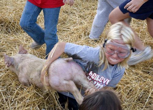 Битва домашних поросят