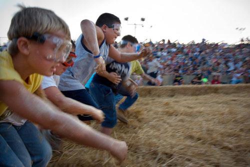 Битва домашних поросят