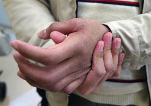 Кровавый зоопарк: когда в хищниках просыпается животный инстинкт