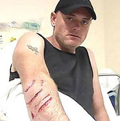 Кровавый зоопарк: когда в хищниках просыпается животный инстинкт