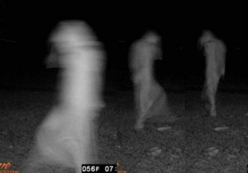 12 самых жутких кадров с охотничьих камер ночного видения