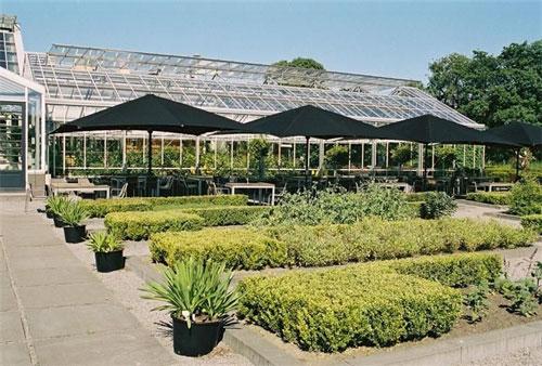 Самые необычные рестораны мира